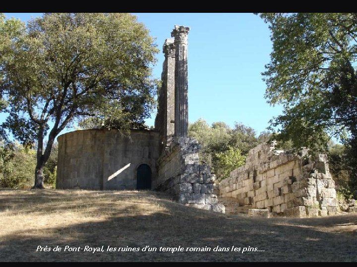 Près de Pont-Royal, les ruines d’un temple romain dans les pins…. 