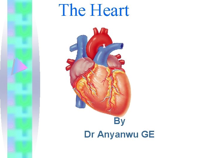 The Heart By Dr Anyanwu GE 