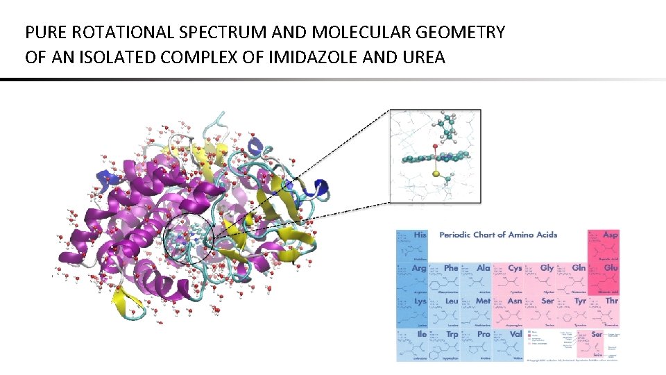 PURE ROTATIONAL SPECTRUM AND MOLECULAR GEOMETRY OF AN ISOLATED COMPLEX OF IMIDAZOLE AND UREA