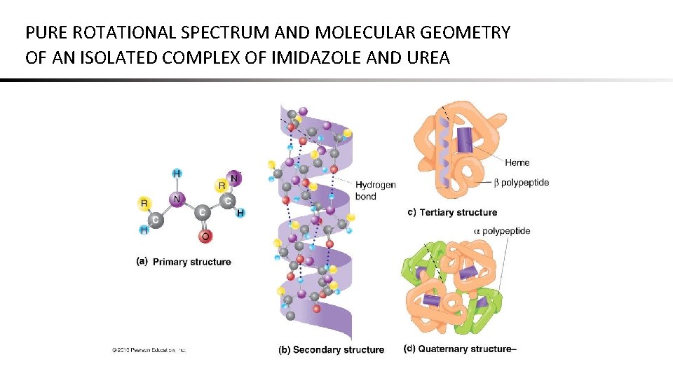 PURE ROTATIONAL SPECTRUM AND MOLECULAR GEOMETRY OF AN ISOLATED COMPLEX OF IMIDAZOLE AND UREA