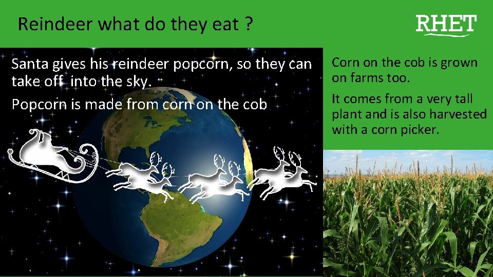 Reindeer what do they eat ? Santa gives his reindeer popcorn, so they can