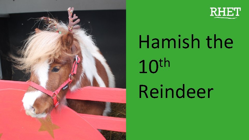 Hamish the th 10 Reindeer 