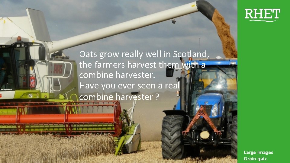 Oats grow really well in Scotland, the farmers harvest them with a combine harvester.