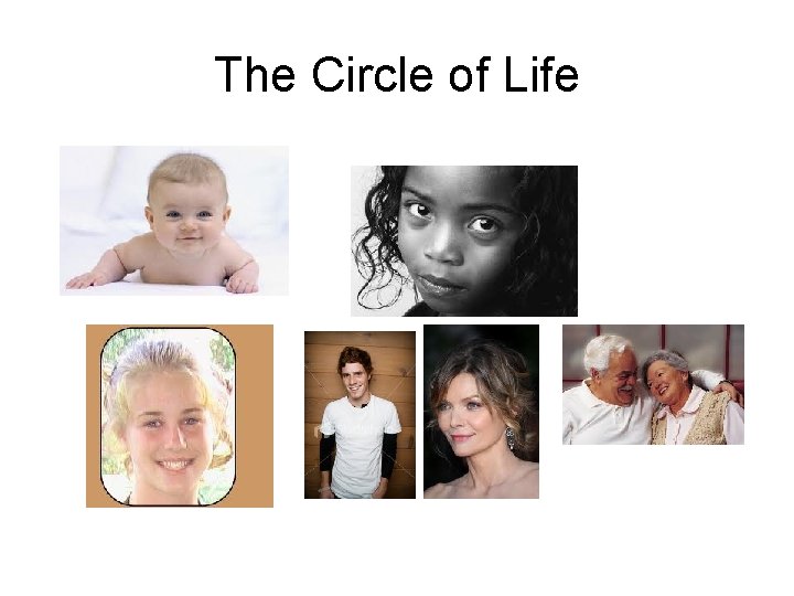 The Circle of Life 