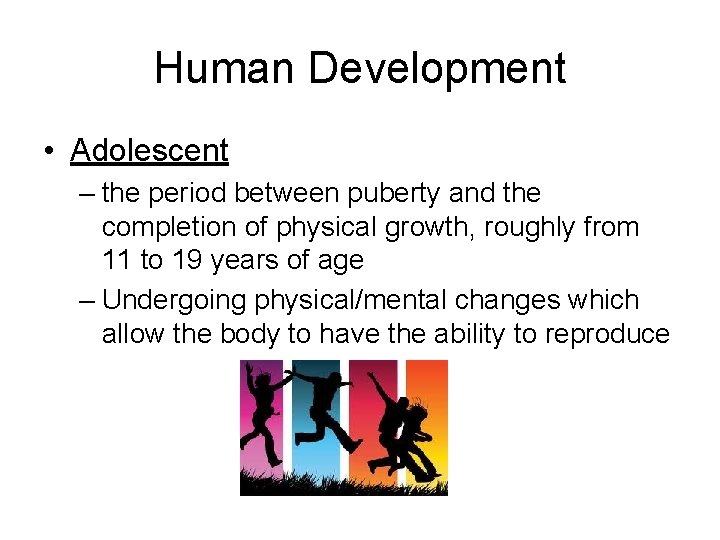 Human Development • Adolescent – the period between puberty and the completion of physical