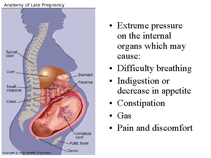  • Extreme pressure on the internal organs which may cause: • Difficulty breathing