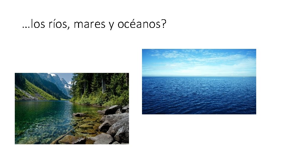 …los ríos, mares y océanos? 