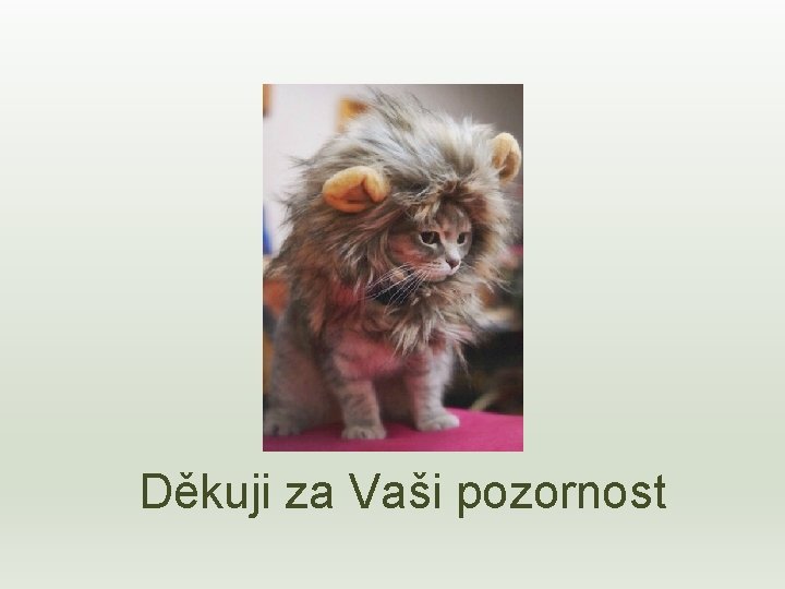 Děkuji za Vaši pozornost 