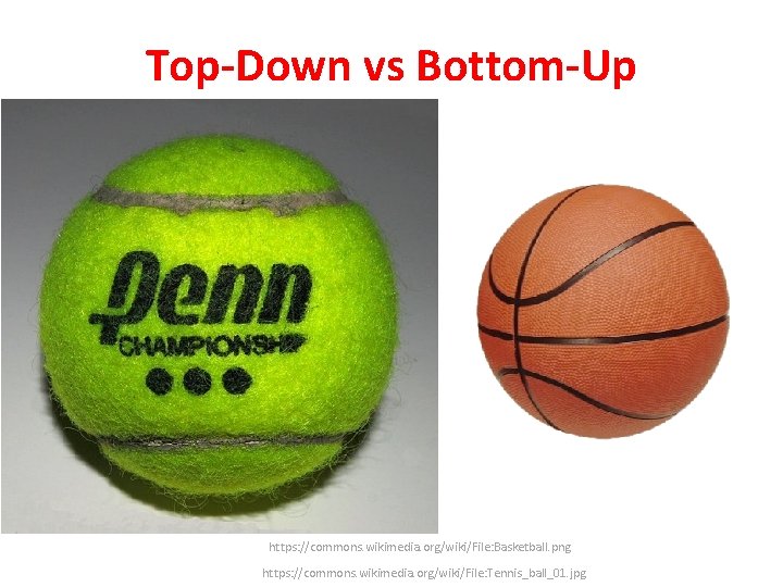 Top-Down vs Bottom-Up https: //commons. wikimedia. org/wiki/File: Basketball. png https: //commons. wikimedia. org/wiki/File: Tennis_ball_01.