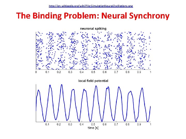 http: //en. wikipedia. org/wiki/File: Simulation. Neural. Oscillations. png The Binding Problem: Neural Synchrony 