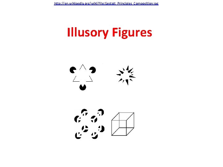 http: //en. wikipedia. org/wiki/File: Gestalt_Principles_Composition. jpg Illusory Figures 