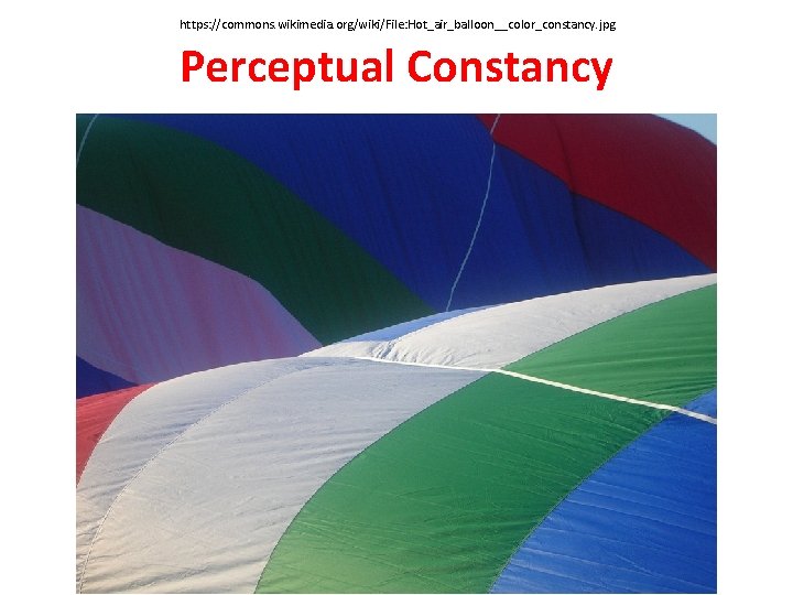 https: //commons. wikimedia. org/wiki/File: Hot_air_balloon__color_constancy. jpg Perceptual Constancy 
