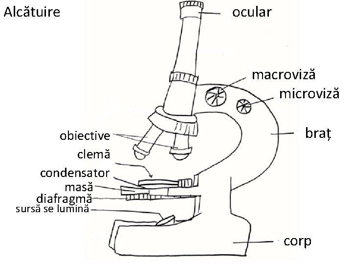 Alcătuire ocular macroviză microviză obiective clemă condensator masă diafragmă braț sursă se lumină corp