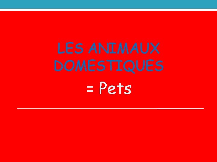 LES ANIMAUX DOMESTIQUES = Pets 