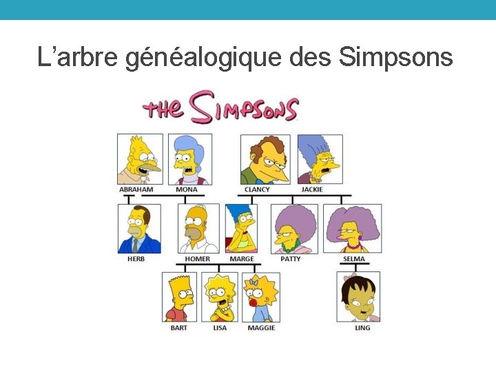 L’arbre généalogique des Simpsons 