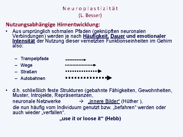 Neuroplastizität (L. Besser) Nutzungsabhängige Hirnentwicklung: • Aus ursprünglich schmalen Pfaden (geknüpften neuronalen Verbindungen) werden