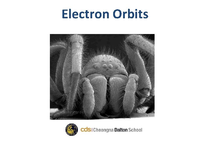 Electron Orbits 