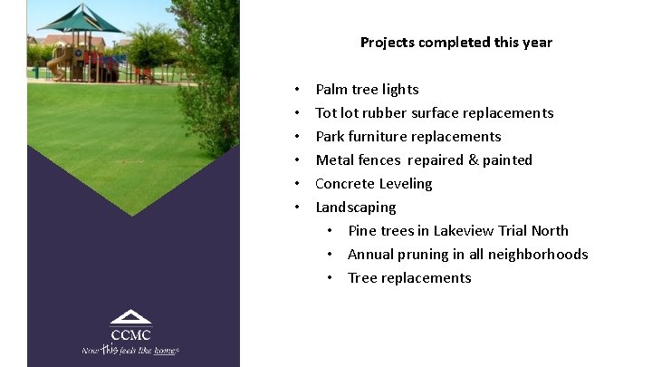 Projects completed this year • • • Palm tree lights Tot lot rubber surface