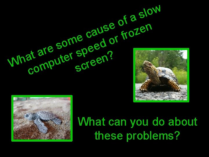 w o l s a f o e n s e u z a