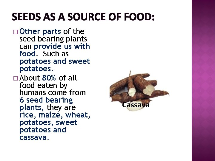 SEEDS AS A SOURCE OF FOOD: � Other parts of the seed bearing plants