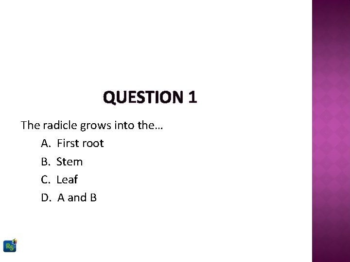 QUESTION 1 The radicle grows into the… A. First root B. Stem C. Leaf