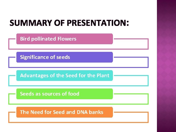 SUMMARY OF PRESENTATION: Bird pollinated Flowers Significance of seeds Advantages of the Seed for