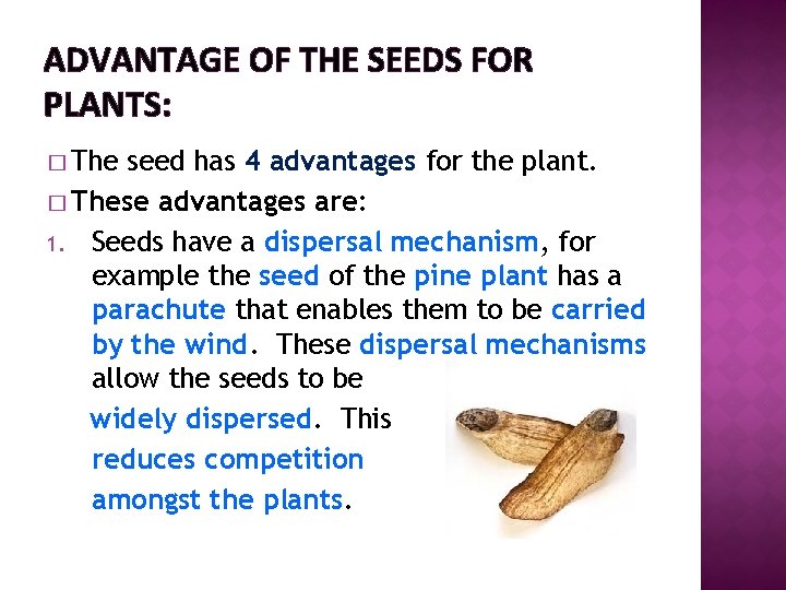 ADVANTAGE OF THE SEEDS FOR PLANTS: � The seed has 4 advantages for the