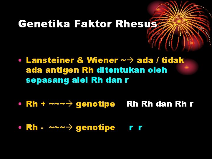 Genetika Faktor Rhesus • Lansteiner & Wiener ~ ada / tidak ada antigen Rh