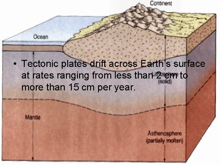  • Tectonic plates drift across Earth’s surface at rates ranging from less than