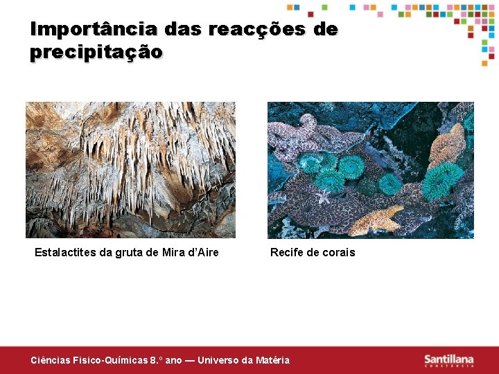 Importância das reacções de precipitação Estalactites da gruta de Mira d’Aire Recife de corais