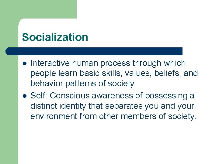 Socialization l l Interactive human process through which people learn basic skills, values, beliefs,