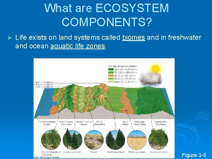 What are ECOSYSTEM COMPONENTS? Ø Life exists on land systems called biomes and in What are ECOSYSTEM COMPONENTS? Ø Life exists on land systems called biomes and in