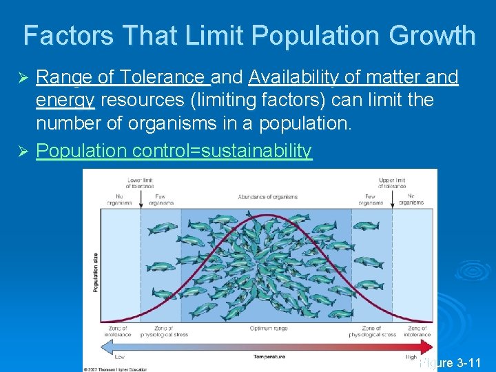 Factors That Limit Population Growth Range of Tolerance and Availability of matter and energy Factors That Limit Population Growth Range of Tolerance and Availability of matter and energy