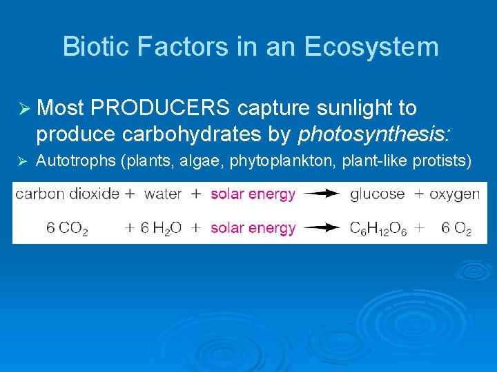 Biotic Factors in an Ecosystem Ø Most PRODUCERS capture sunlight to produce carbohydrates by Biotic Factors in an Ecosystem Ø Most PRODUCERS capture sunlight to produce carbohydrates by