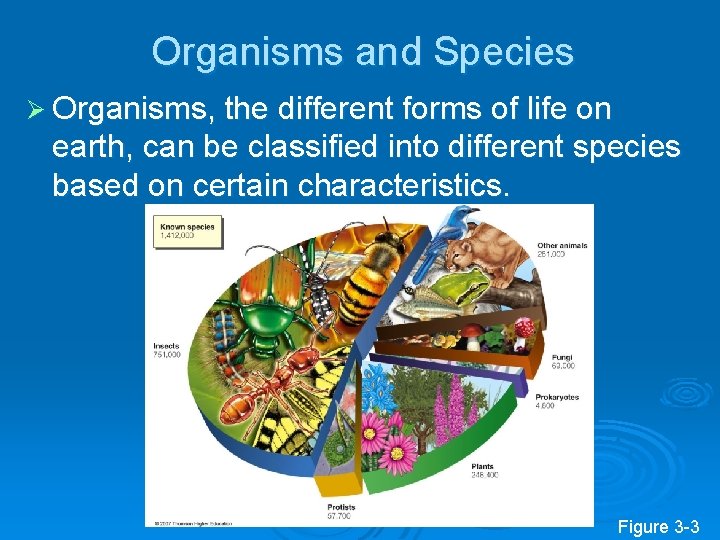 Organisms and Species Ø Organisms, the different forms of life on earth, can be Organisms and Species Ø Organisms, the different forms of life on earth, can be