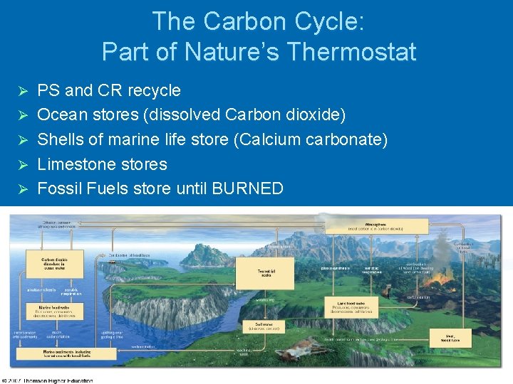 The Carbon Cycle: Part of Nature’s Thermostat Ø Ø Ø PS and CR recycle The Carbon Cycle: Part of Nature’s Thermostat Ø Ø Ø PS and CR recycle