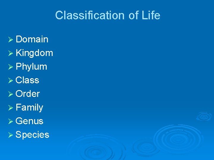 Classification of Life Ø Domain Ø Kingdom Ø Phylum Ø Class Ø Order Ø Classification of Life Ø Domain Ø Kingdom Ø Phylum Ø Class Ø Order Ø