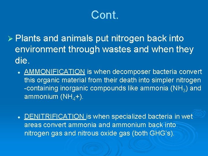 Cont. Ø Plants and animals put nitrogen back into environment through wastes and when Cont. Ø Plants and animals put nitrogen back into environment through wastes and when