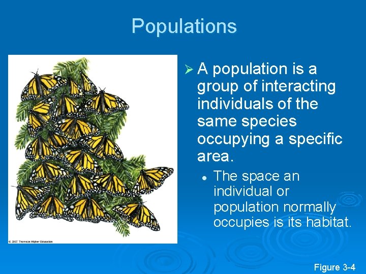 Populations Ø A population is a group of interacting individuals of the same species Populations Ø A population is a group of interacting individuals of the same species