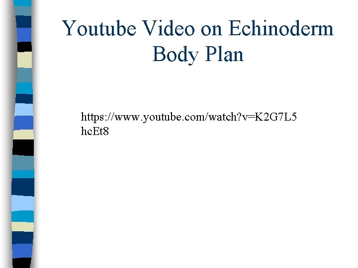 Youtube Video on Echinoderm Body Plan https: //www. youtube. com/watch? v=K 2 G 7