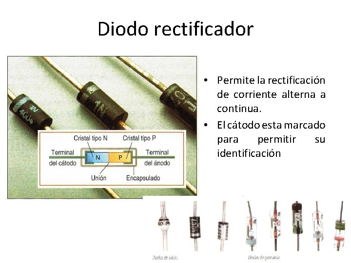 Diodo rectificador • Permite la rectificación de corriente alterna a continua. • El cátodo