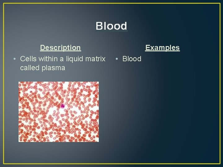 Blood Description • Cells within a liquid matrix called plasma Examples • Blood 