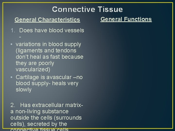 Connective Tissue General Characteristics 1. Does have blood vessels • variations in blood supply