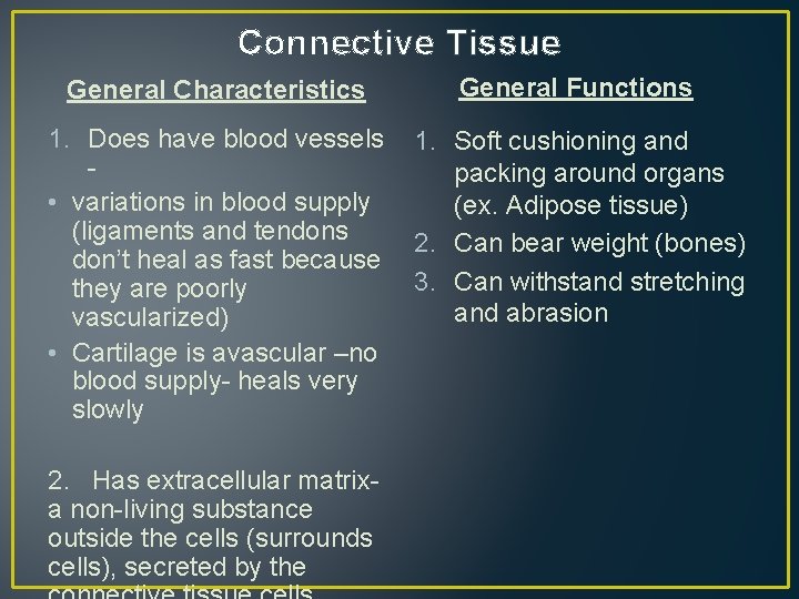 Connective Tissue General Characteristics General Functions 1. Does have blood vessels • variations in