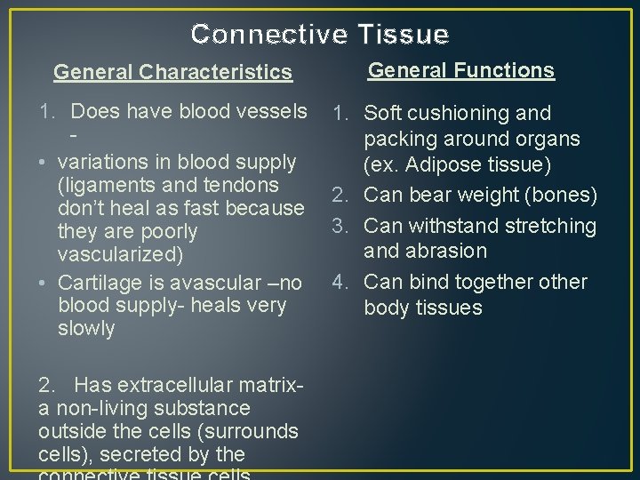 Connective Tissue General Characteristics General Functions 1. Does have blood vessels • variations in