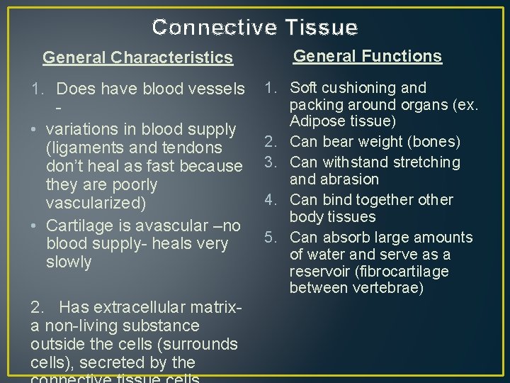 Connective Tissue General Characteristics General Functions 1. Does have blood vessels • variations in