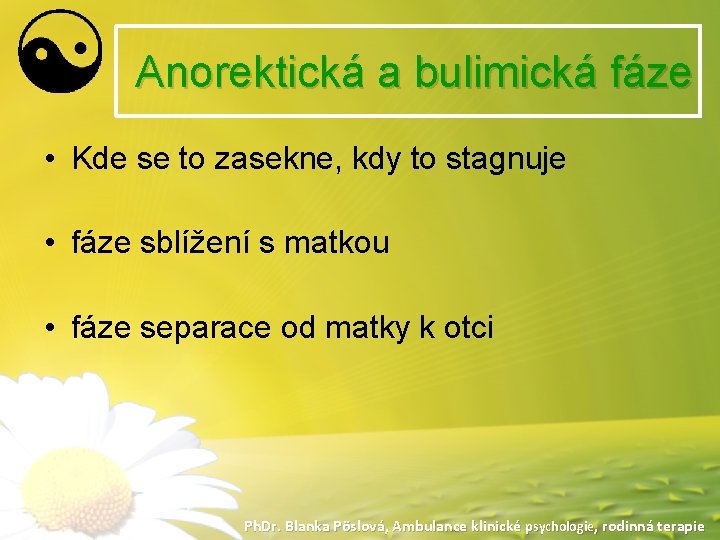 Anorektická a bulimická fáze • Kde se to zasekne, kdy to stagnuje • fáze