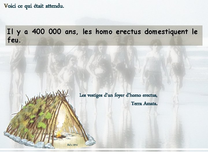 Voici ce qui était attendu. Il y a 400 000 ans, les homo erectus Voici ce qui était attendu. Il y a 400 000 ans, les homo erectus
