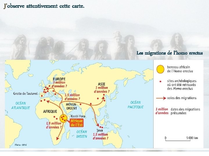 J’observe attentivement cette carte. Les migrations de l’homo erectus Hatier 2016 J’observe attentivement cette carte. Les migrations de l’homo erectus Hatier 2016