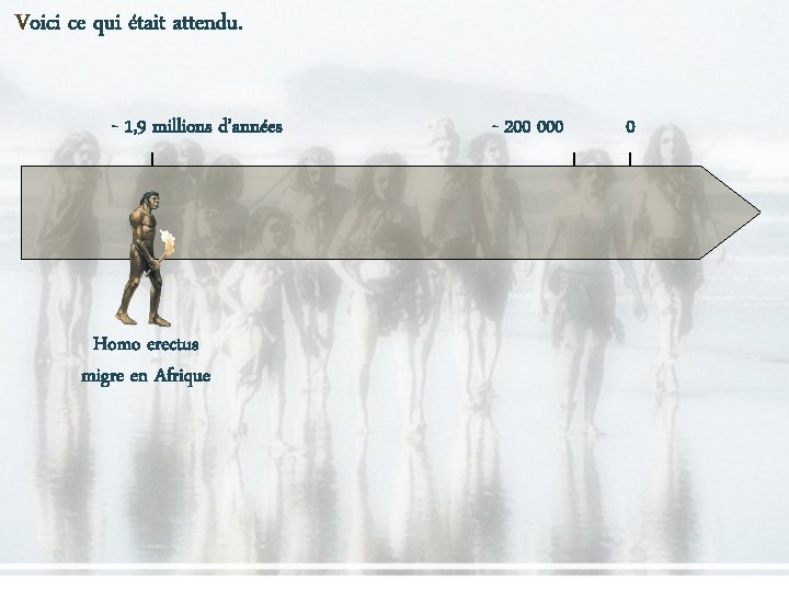 Voici ce qui était attendu. - 1, 9 millions d’années Homo erectus migre en Voici ce qui était attendu. - 1, 9 millions d’années Homo erectus migre en